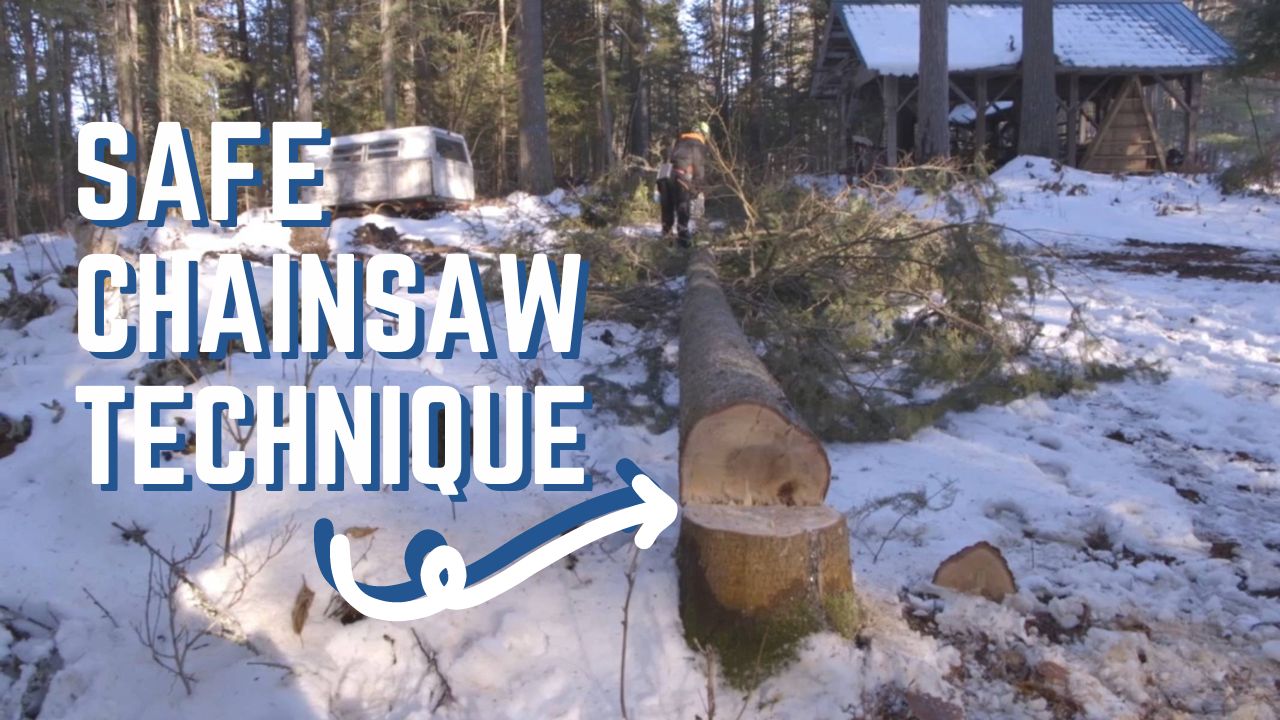 Tree Felling 101 – Videos – Mother Earth News